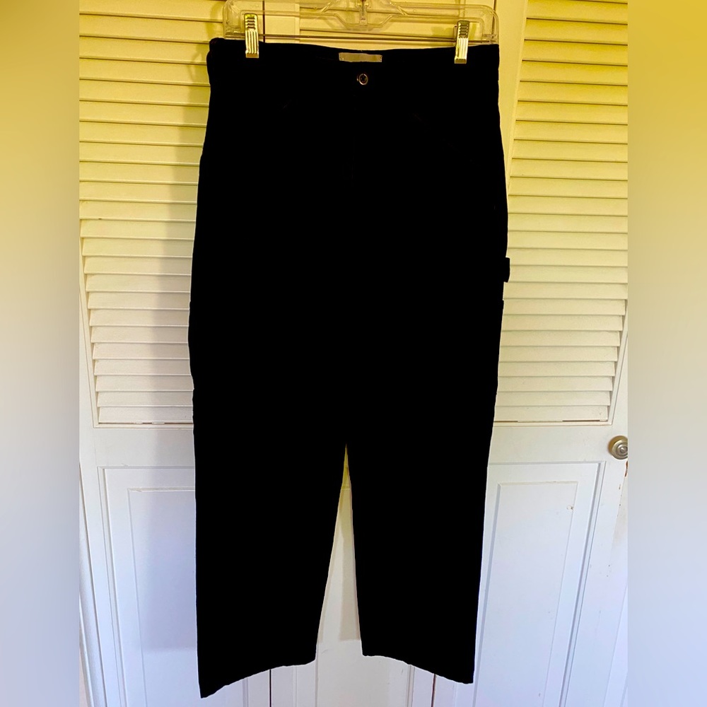 Everlane painter pant
